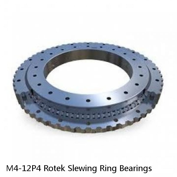 M4-12P4 Rotek Slewing Ring Bearings