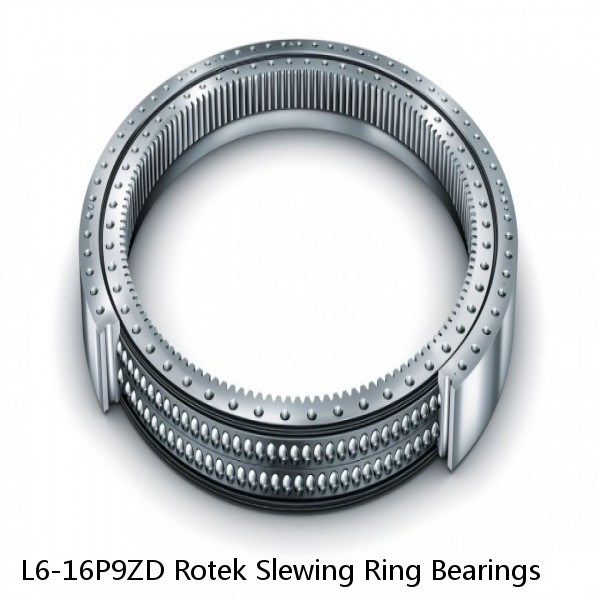 L6-16P9ZD Rotek Slewing Ring Bearings