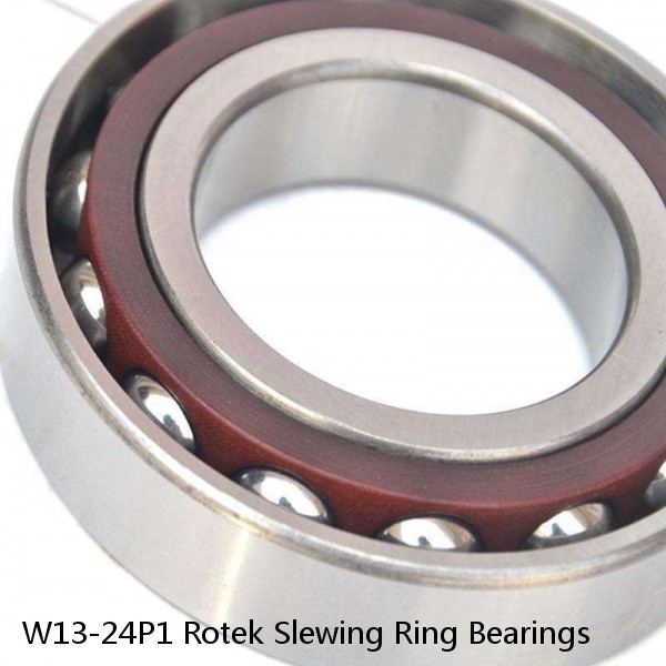 W13-24P1 Rotek Slewing Ring Bearings