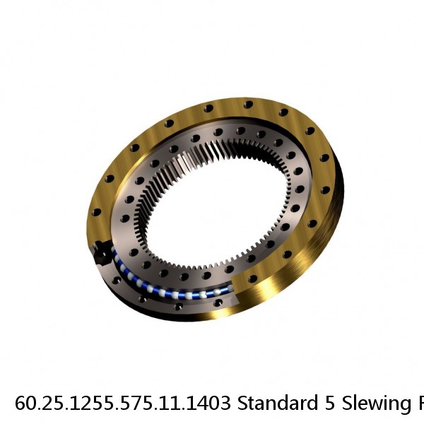 60.25.1255.575.11.1403 Standard 5 Slewing Ring Bearings