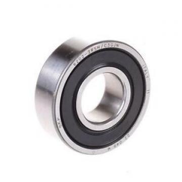 NSK bearing 6005DDU nsk 6005du2 bearing original Japan bearing