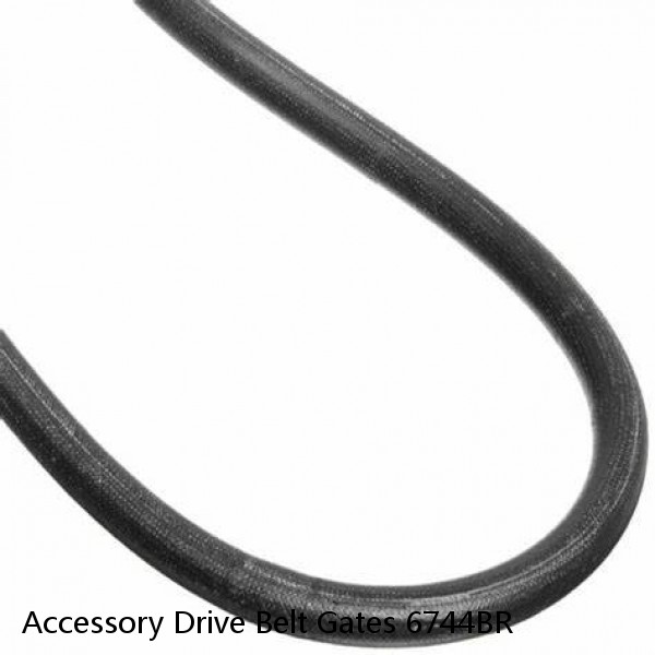 Accessory Drive Belt Gates 6744BR