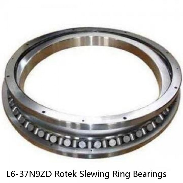 L6-37N9ZD Rotek Slewing Ring Bearings