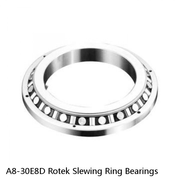 A8-30E8D Rotek Slewing Ring Bearings