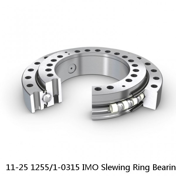 11-25 1255/1-0315 IMO Slewing Ring Bearings