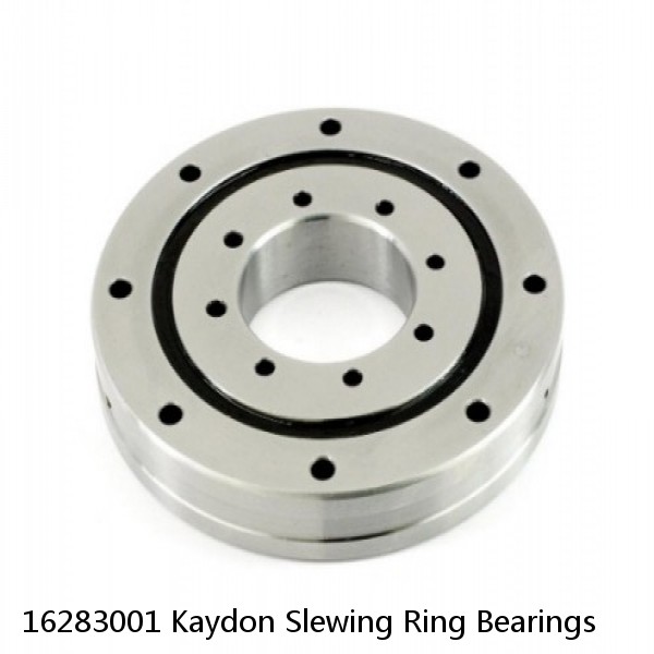 16283001 Kaydon Slewing Ring Bearings