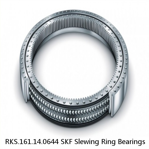 RKS.161.14.0644 SKF Slewing Ring Bearings