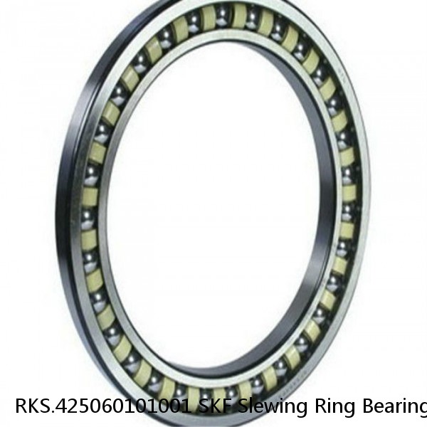 RKS.425060101001 SKF Slewing Ring Bearings