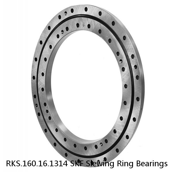 RKS.160.16.1314 SKF Slewing Ring Bearings