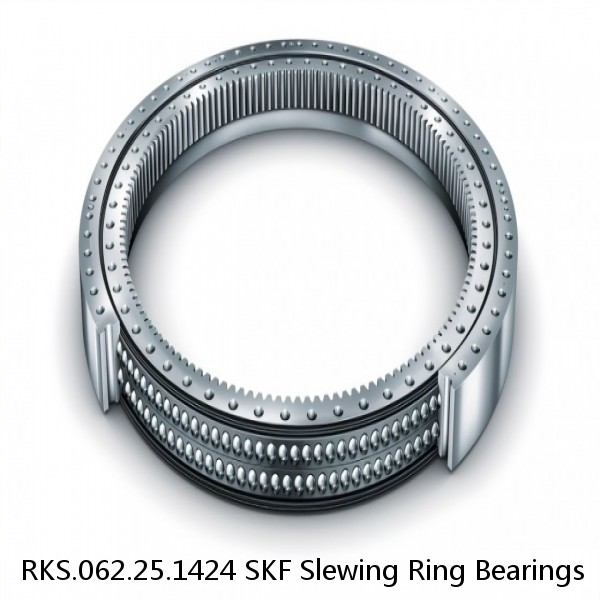 RKS.062.25.1424 SKF Slewing Ring Bearings