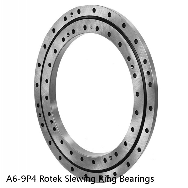 A6-9P4 Rotek Slewing Ring Bearings