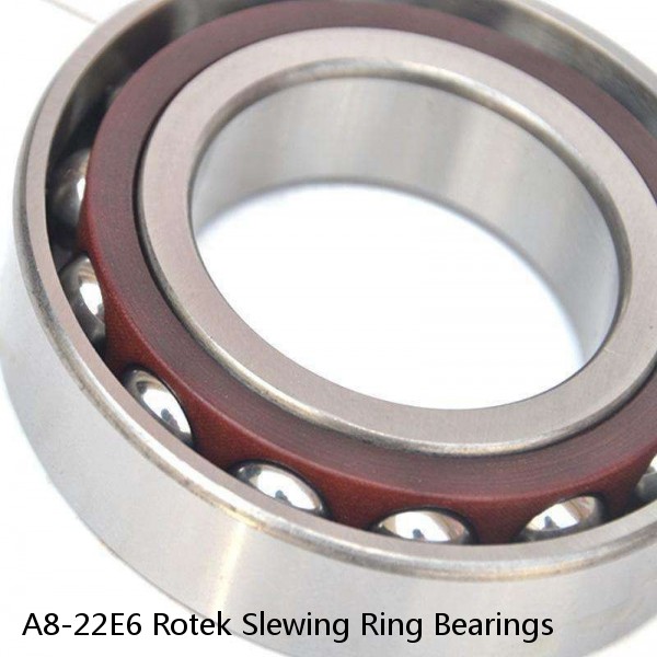 A8-22E6 Rotek Slewing Ring Bearings