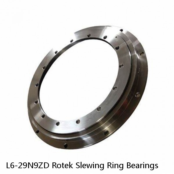 L6-29N9ZD Rotek Slewing Ring Bearings