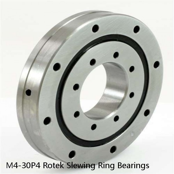 M4-30P4 Rotek Slewing Ring Bearings