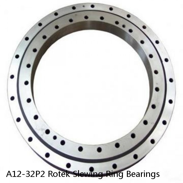 A12-32P2 Rotek Slewing Ring Bearings