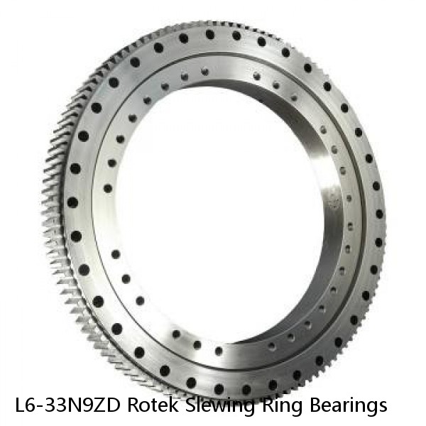 L6-33N9ZD Rotek Slewing Ring Bearings