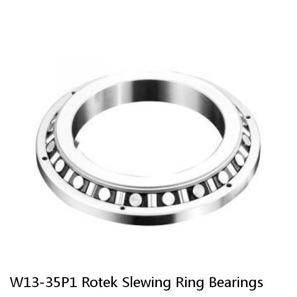 W13-35P1 Rotek Slewing Ring Bearings