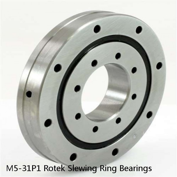 M5-31P1 Rotek Slewing Ring Bearings