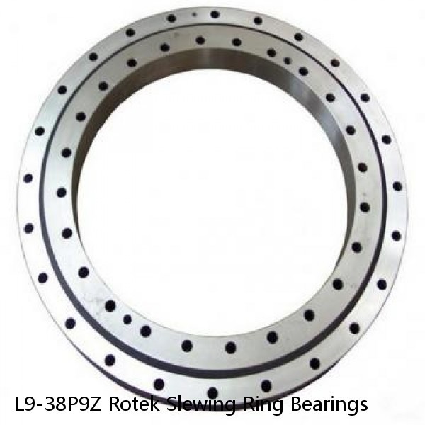 L9-38P9Z Rotek Slewing Ring Bearings