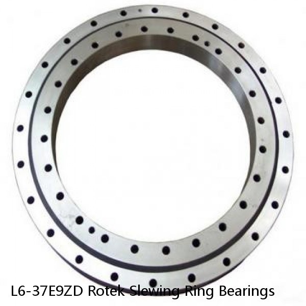 L6-37E9ZD Rotek Slewing Ring Bearings