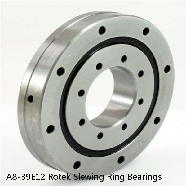 A8-39E12 Rotek Slewing Ring Bearings