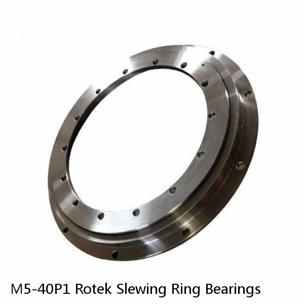 M5-40P1 Rotek Slewing Ring Bearings