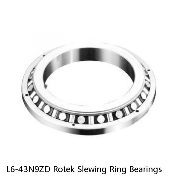 L6-43N9ZD Rotek Slewing Ring Bearings