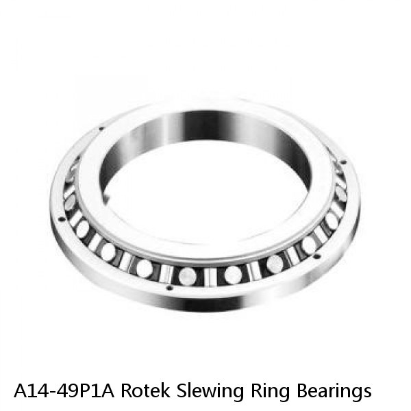 A14-49P1A Rotek Slewing Ring Bearings