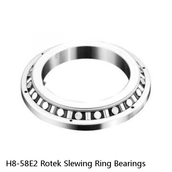 H8-58E2 Rotek Slewing Ring Bearings