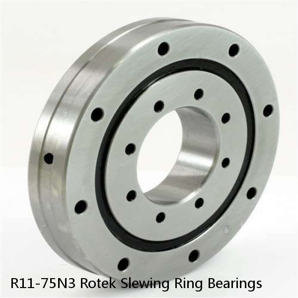 R11-75N3 Rotek Slewing Ring Bearings