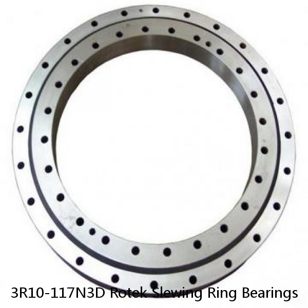 3R10-117N3D Rotek Slewing Ring Bearings