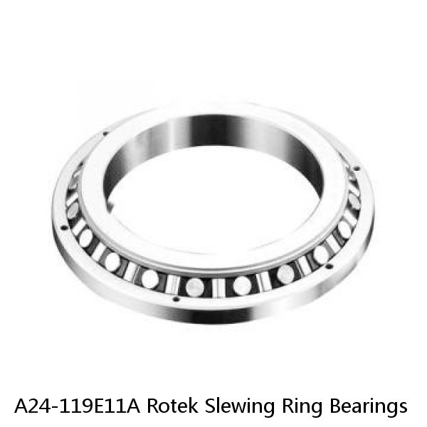 A24-119E11A Rotek Slewing Ring Bearings