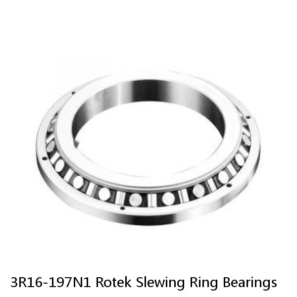 3R16-197N1 Rotek Slewing Ring Bearings