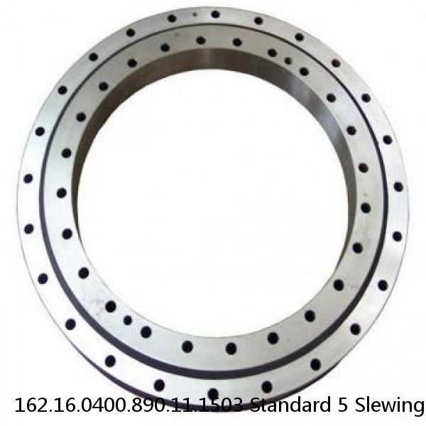 162.16.0400.890.11.1503 Standard 5 Slewing Ring Bearings