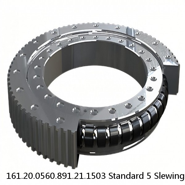 161.20.0560.891.21.1503 Standard 5 Slewing Ring Bearings