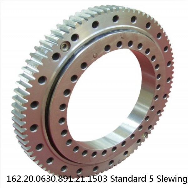 162.20.0630.891.21.1503 Standard 5 Slewing Ring Bearings