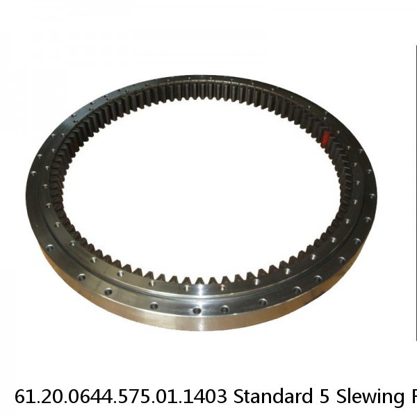 61.20.0644.575.01.1403 Standard 5 Slewing Ring Bearings