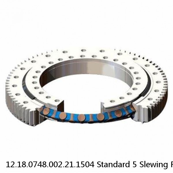 12.18.0748.002.21.1504 Standard 5 Slewing Ring Bearings