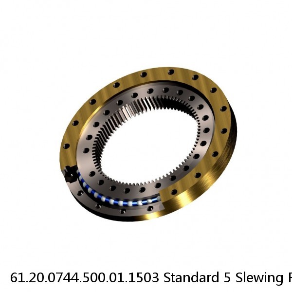 61.20.0744.500.01.1503 Standard 5 Slewing Ring Bearings