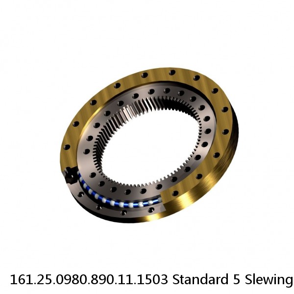 161.25.0980.890.11.1503 Standard 5 Slewing Ring Bearings