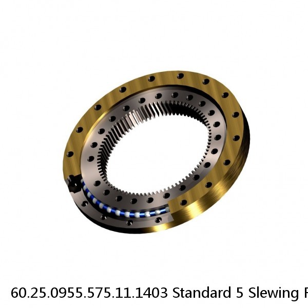 60.25.0955.575.11.1403 Standard 5 Slewing Ring Bearings