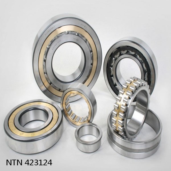 423124 NTN Cylindrical Roller Bearing