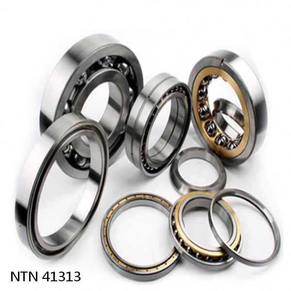 41313 NTN Cylindrical Roller Bearing