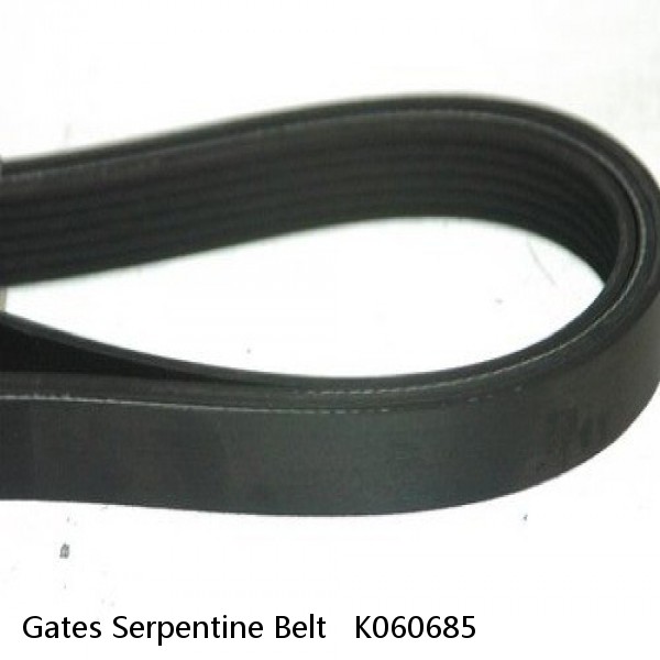 Gates Serpentine Belt   K060685