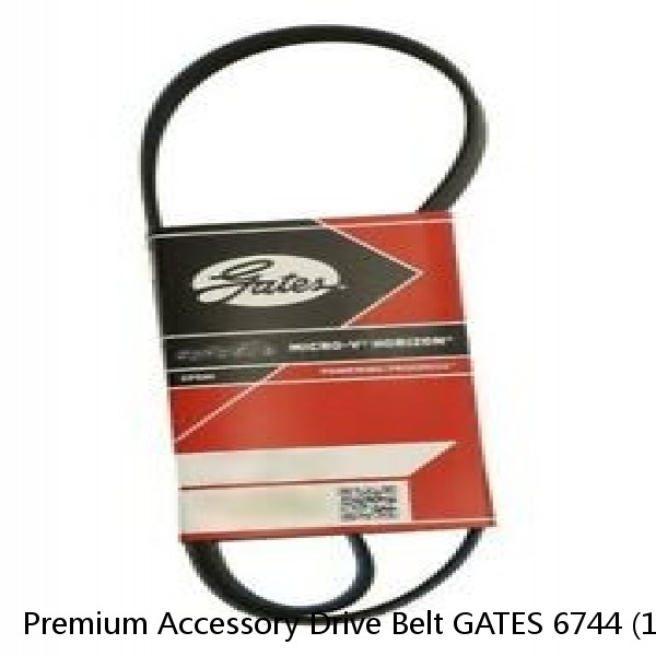 Premium Accessory Drive Belt GATES 6744 (12 Month 12,000 Mile Warranty)